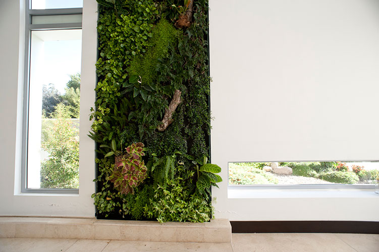 Jardín Vertical Hidropónico, Quito.