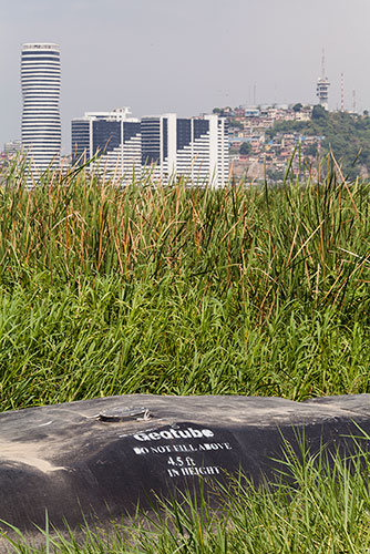 Protección del Islote El Palmar con Geotubes, Guayaquil.