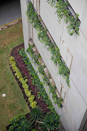 Terraza Verde y BumBag, Quito.