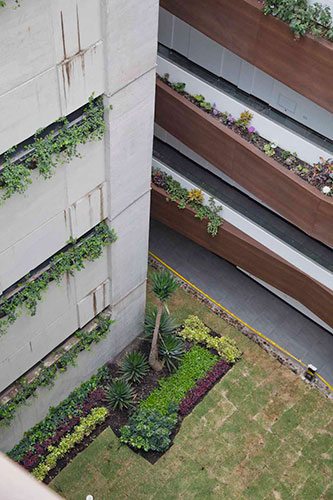 Terraza Verde y BumBag, Quito.